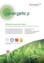 penergetic p-1
