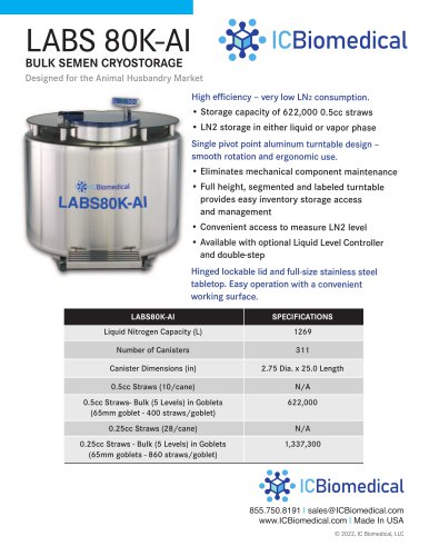 LABS 80K-AI