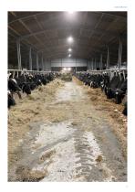 DAIRY PRODUCT BROCHURE-11