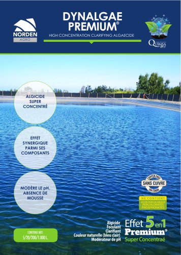 DYNALGAE PREMIUM &reg; - ALGICIDE SUPER CONCENTR&Eacute;