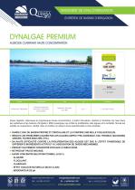 DYNALGAE PREMIUM ® - ALGICIDE SUPER CONCENTRÉ-2