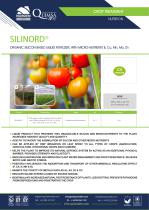 SILINORD  ®-2