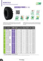 Pneumatiques & Roues AGRICOLE / TRANSPORT / AGRO-INDUSTRIEL - 10