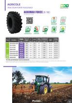 Pneumatiques & Roues AGRICOLE / TRANSPORT / AGRO-INDUSTRIEL - 11