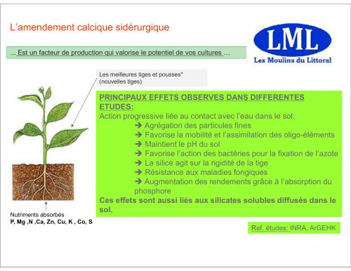 Efficacit&eacute; de l'amendement calcique