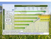 Product datasheet Liming agent LML Dunkerque based on NFU44001 -2