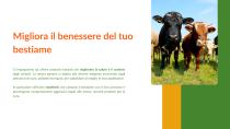 Catalogo SODI P.O.C 2025-2