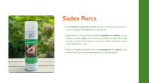 Catalogo SODI P.O.C 2025-4