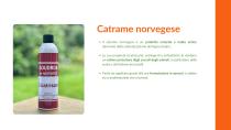 Catalogo SODI P.O.C 2025-5