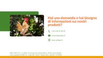 Catalogo SODI P.O.C 2025-6