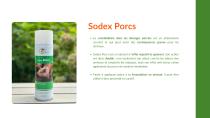 Catalogue SODI P.O.C 2025-4