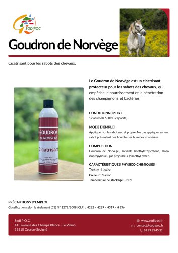 Goudron de Norv&egrave;ge