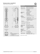 Bypass level indicator With magnetic display Model BNA-6