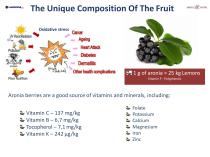 ARONIA-3