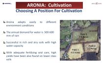 ARONIA-6
