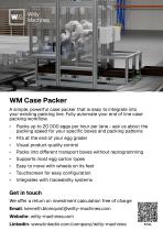 Witty Machines Case Packer-1