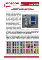 Identification of grapevine diseases using real-time PCR analyzer AriaDNA