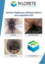 Présentation SlagSil H2S-1
