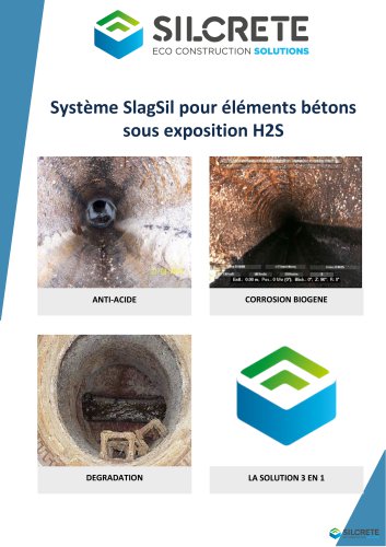 Pr&eacute;sentation SlagSil H2S