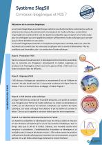Présentation SlagSil H2S-2