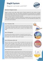 SlagSil presentation H2S-2