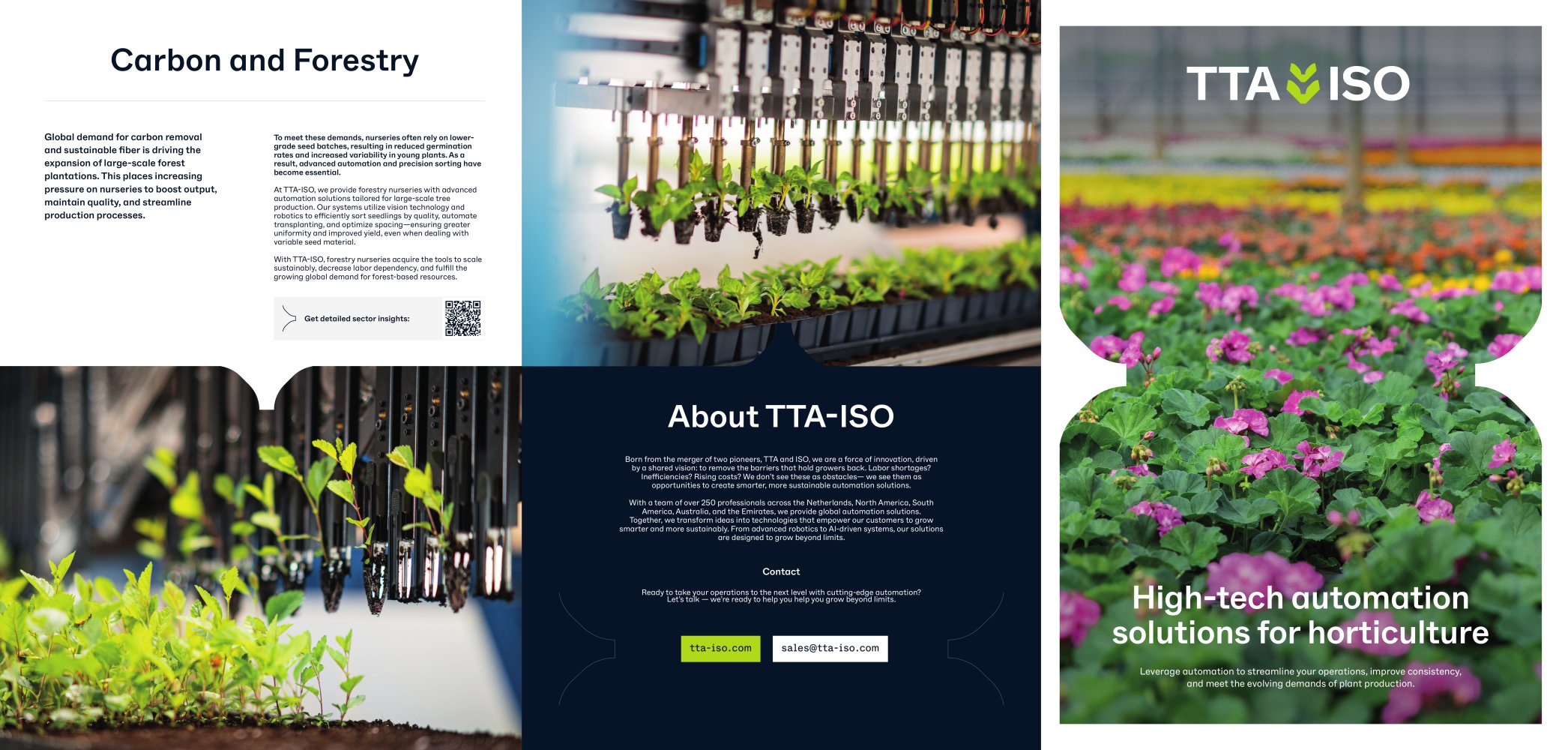 Carbon and Forestry - TTA-ISO