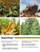 SuperCrop®-5