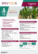 BRV1121A