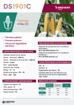 DS1901C