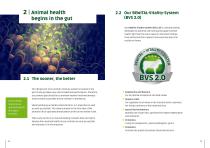 CALF REARING-10