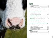 CALF REARING-3