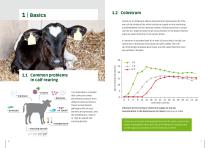 CALF REARING-4