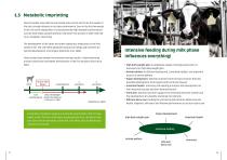 CALF REARING-7