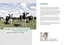 DAIRY COW FEEDING-2