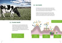DAIRY COW FEEDING-5