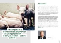 PIGLET REARING-2