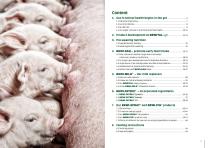 PIGLET REARING-3