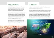 PIGLET REARING-5