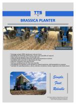 Brassica planter-2