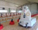 Robôs agrícolas para pecuária