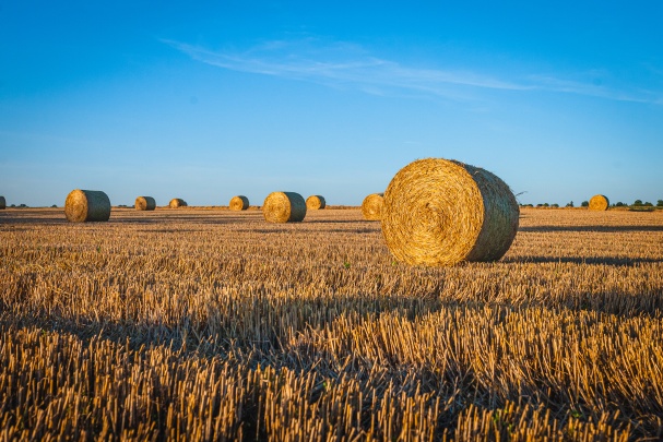 CPS Agri Limited – CROP PROTECTION SOLUTIONS. Photo 1