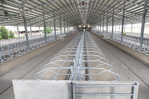AGRICOW Photo 1