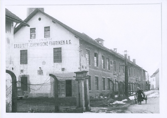 foj_Company_Tab_whoAreWe_title