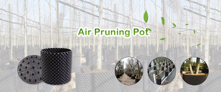 Jiangsu Grow-Green Agriculture Co., Ltd. Photo 1