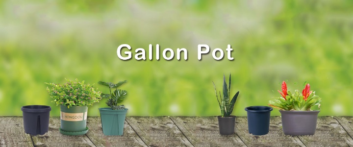 Jiangsu Grow-Green Agriculture Co., Ltd. Photo 2