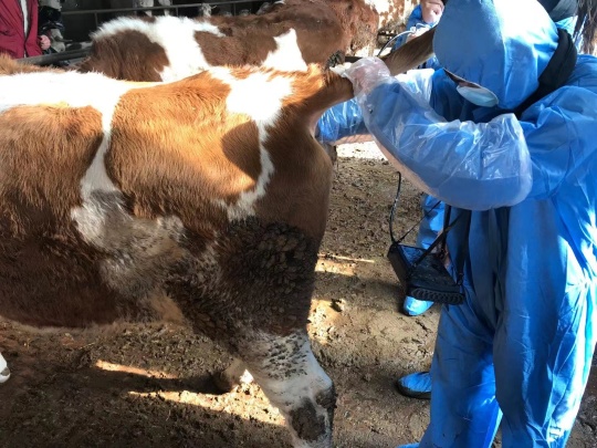 Dawei Veterinary Medical (jiangsu) co., ltd. Photo 1