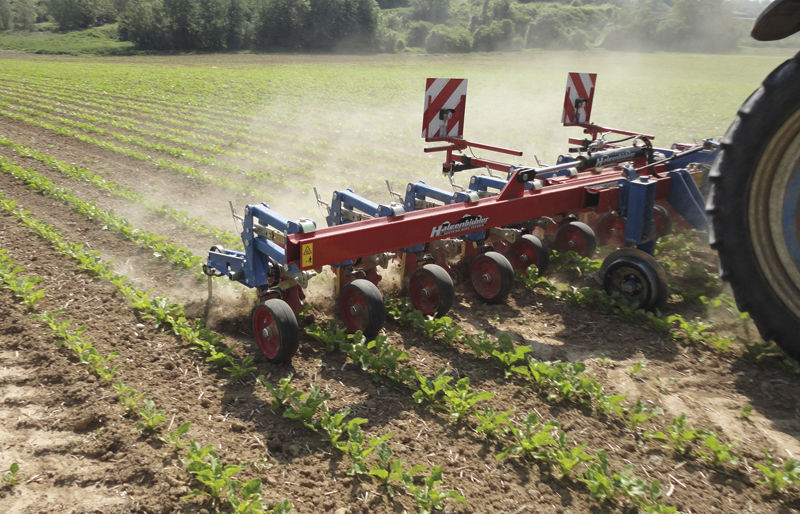 Cultivador rotativo montado em trator - Thomas Hatzenbichler Agro