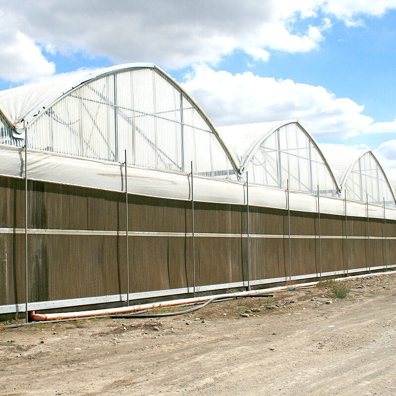 Resfriador Evaporativo Ulma Para Estufa