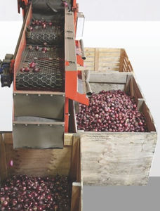 calibrador para batatas