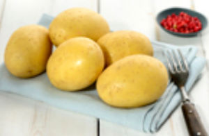 semente de batata precoce